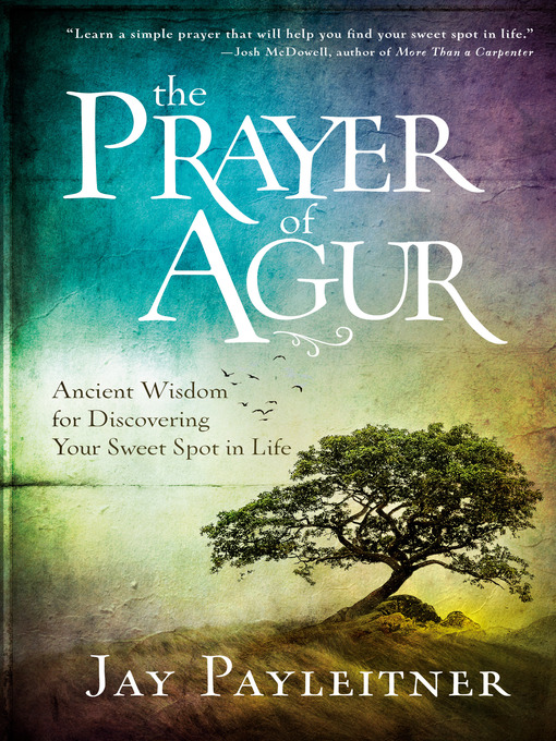 Title details for The Prayer of Agur by Jay Payleitner - Wait list